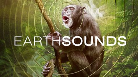 earthsounds التورنت|‫Earthsounds .